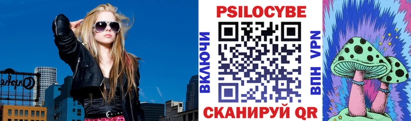 Купить закладки Владимир Псилоцибиновые грибы ЛСД